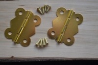 Brass / Gold Finish Hinges