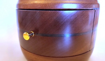 Small Gold Knob Set (4 + screws)
