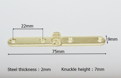 Brass Plated Strap Hinge / Writing slop Hinge (pair with screws)